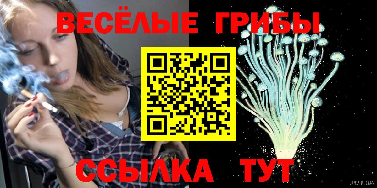 Пыть-Ях  Псилоцибиновые грибы GOLDEN TEACHER  Вход с VPN  Псилоцибиновые грибы мицелий 